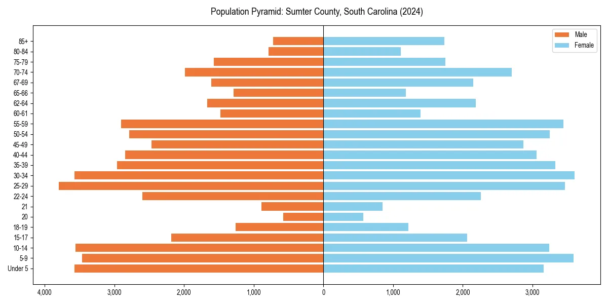Population pyramid for 