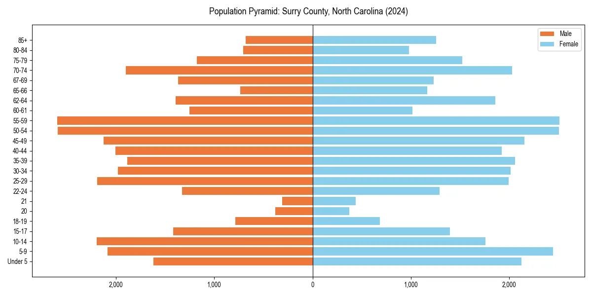 Population pyramid for 