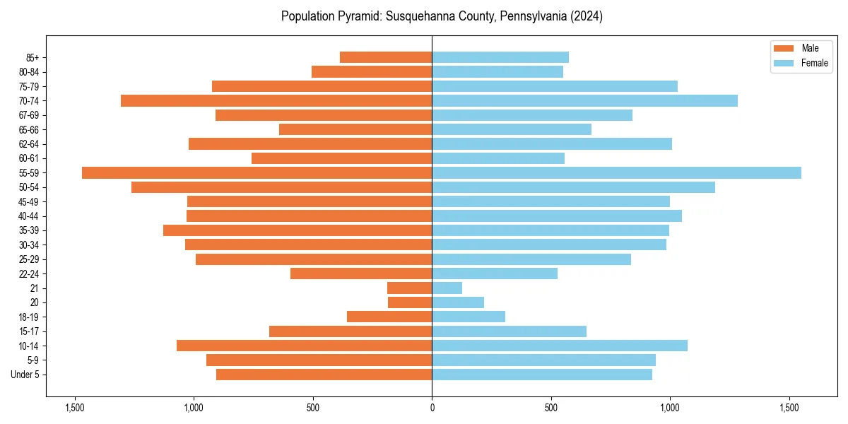 Population pyramid for 
