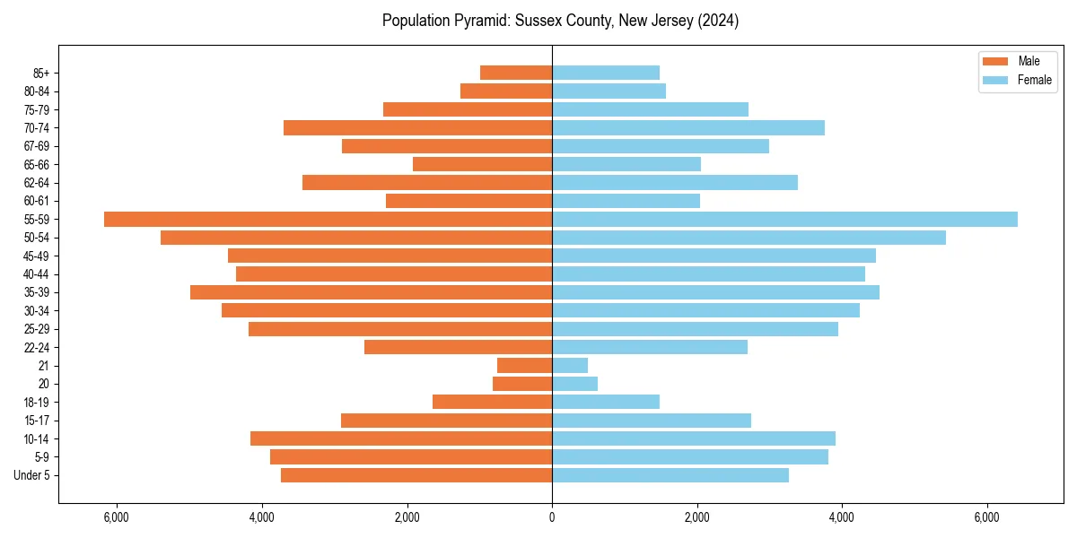Population pyramid for 