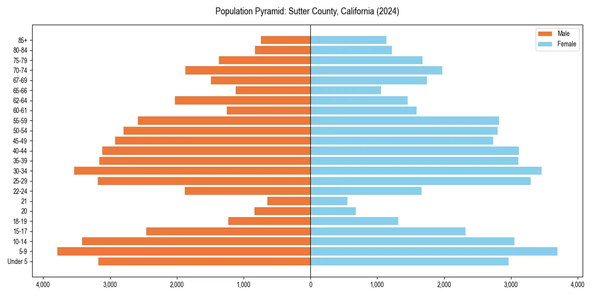 Population pyramid for 