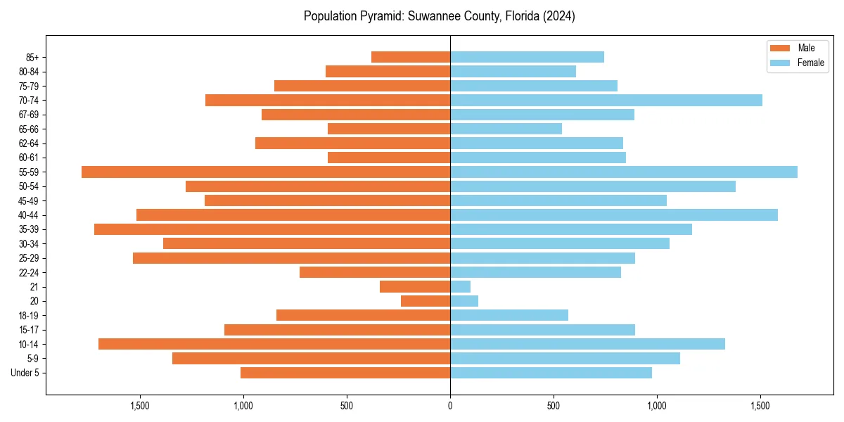 Population pyramid for 