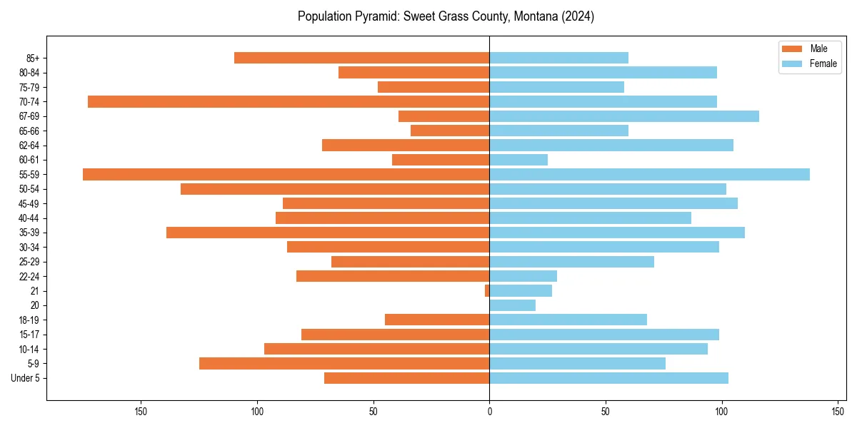 Population pyramid for 
