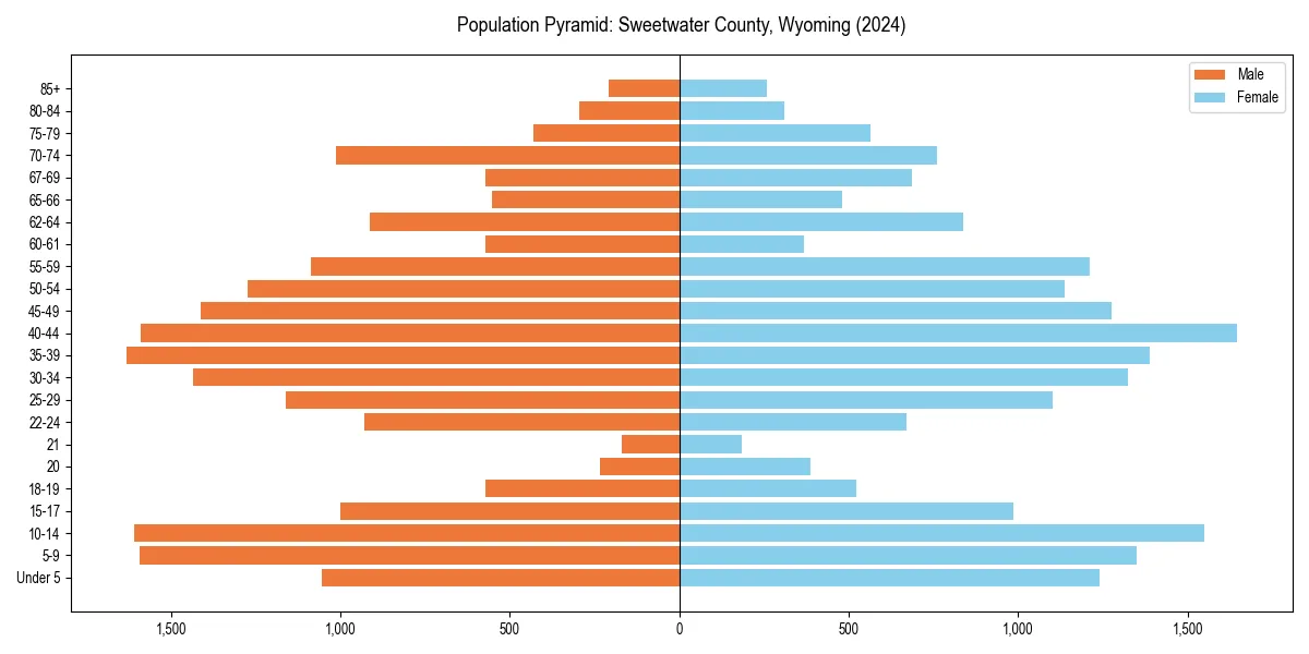 Population pyramid for 