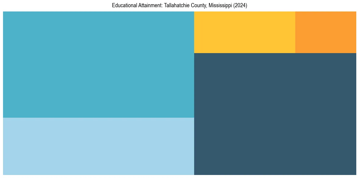 Education Treemap for  in 2024