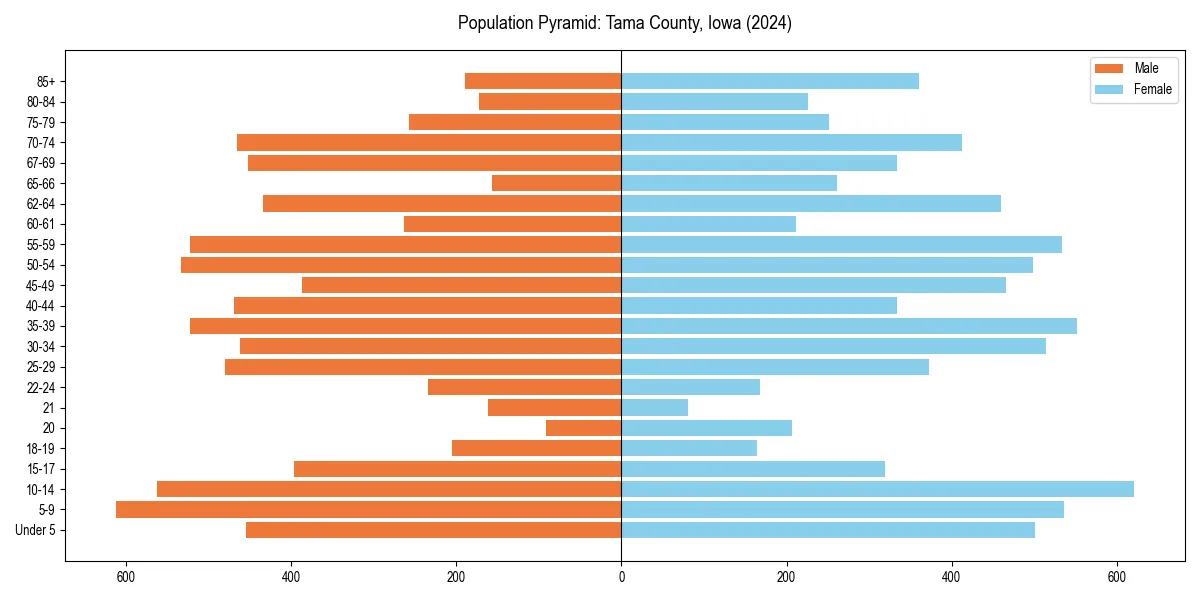 Population pyramid for 