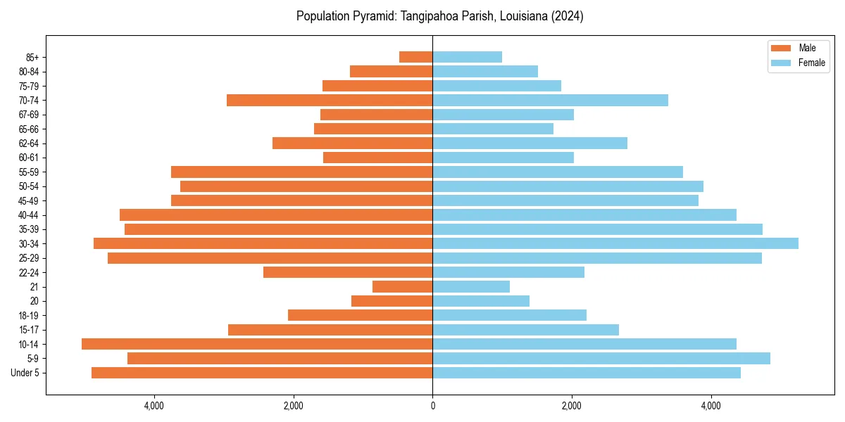 Population pyramid for 