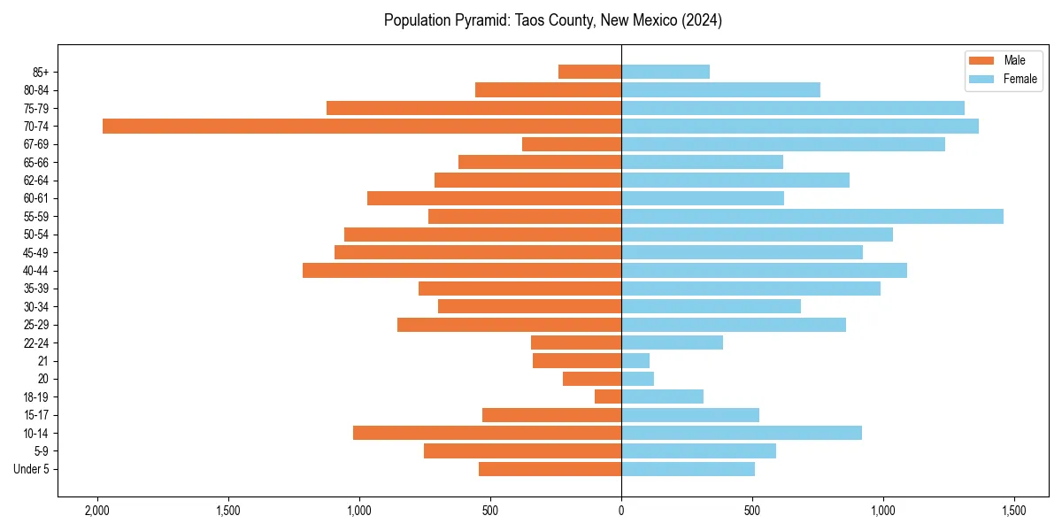 Population pyramid for 