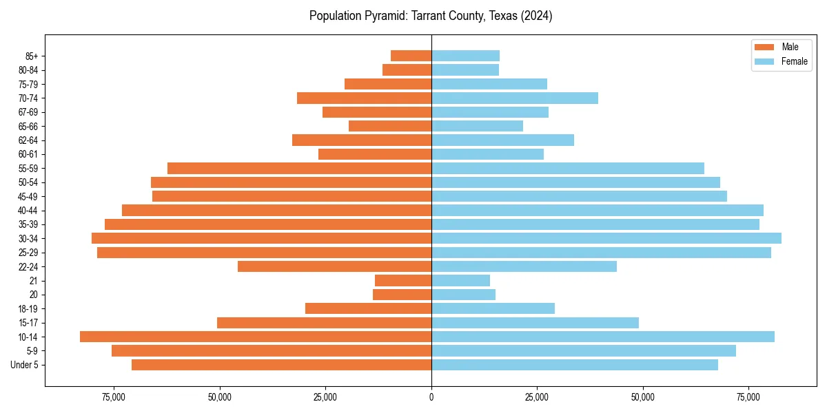 Population pyramid for 