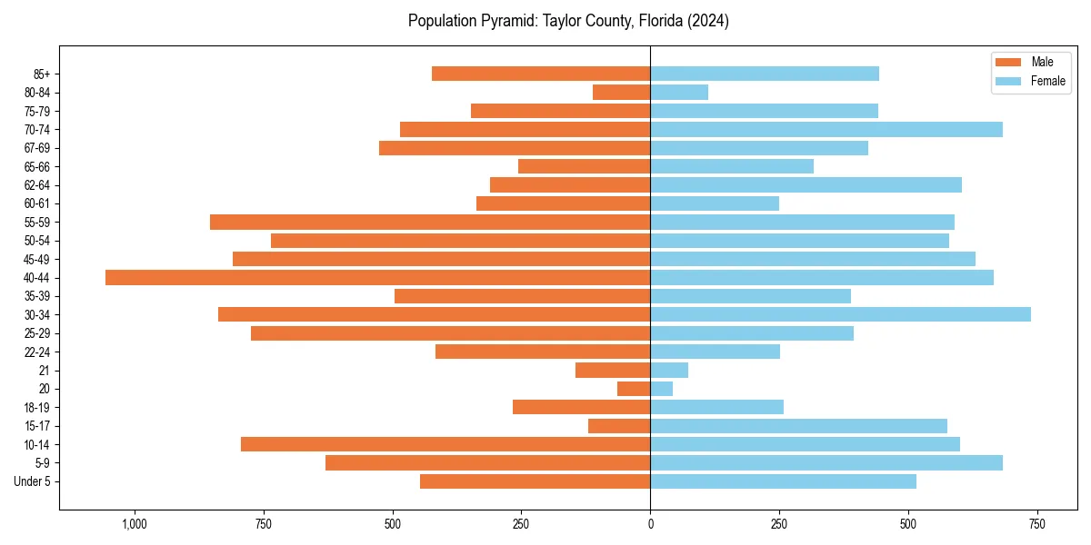 Population pyramid for 
