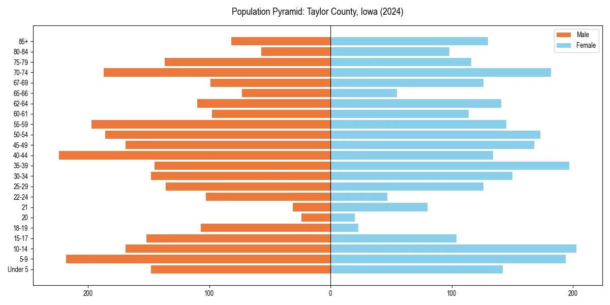Population pyramid for 