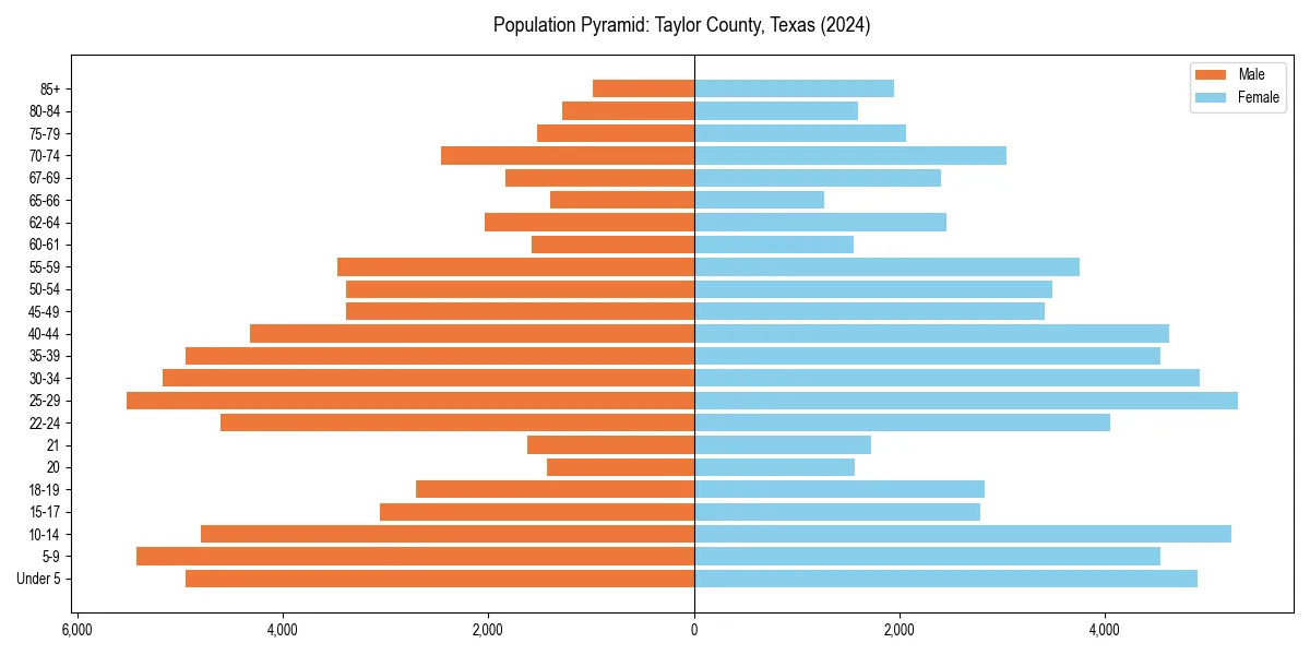 Population pyramid for 