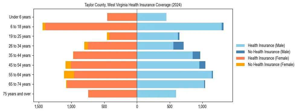 Health insurance pyramid for Taylor County, West Virginia