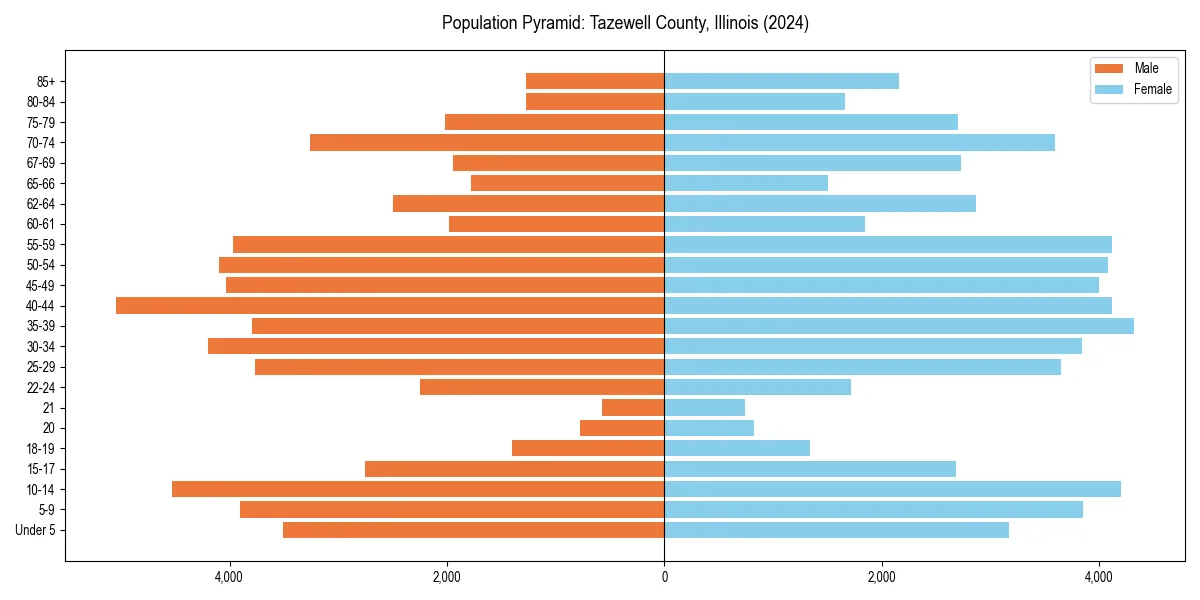 Population pyramid for 