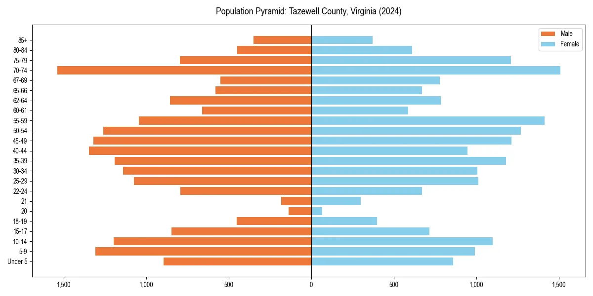 Population pyramid for 