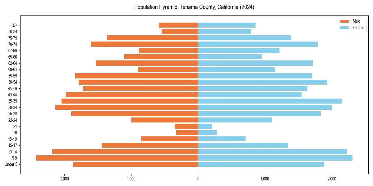 Population pyramid for 