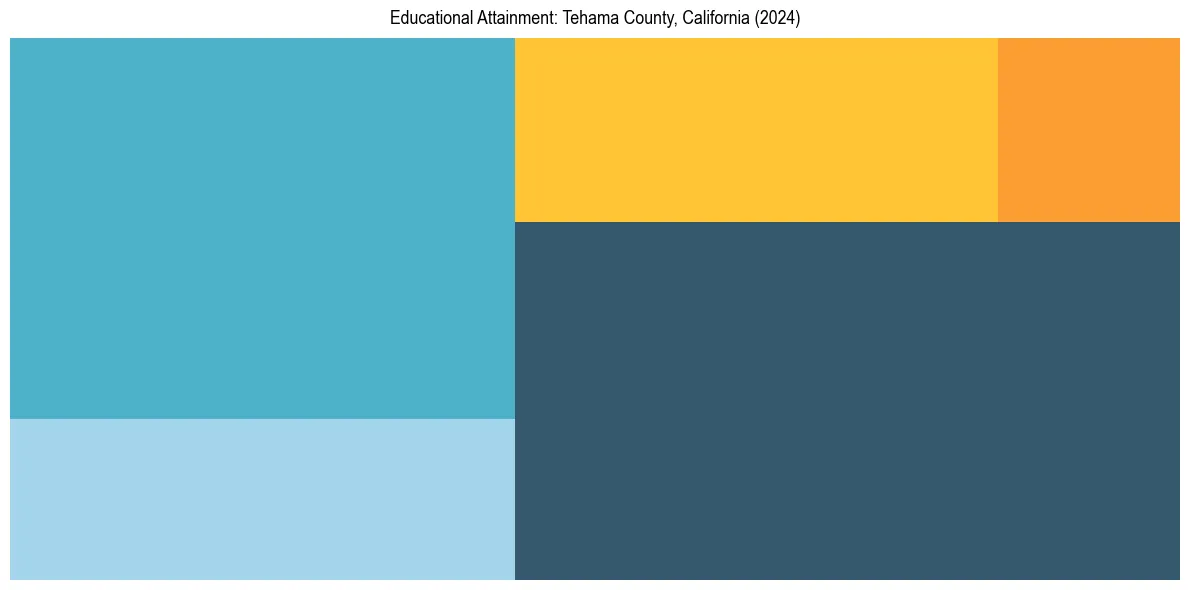 Education Treemap for  in 2024
