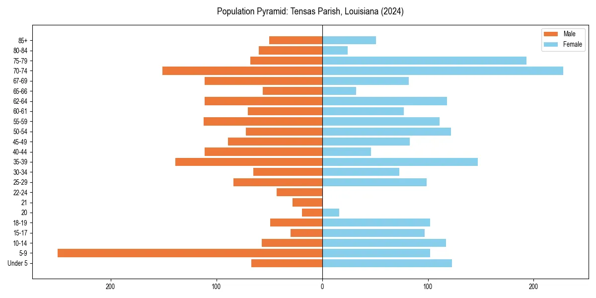 Population pyramid for 