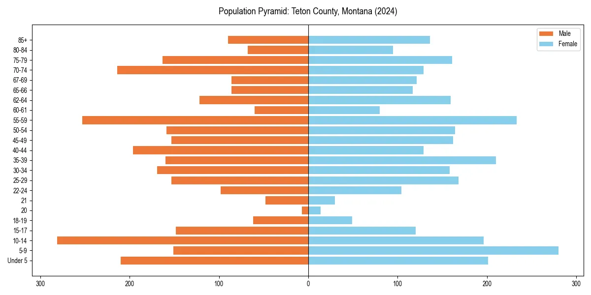 Population pyramid for 