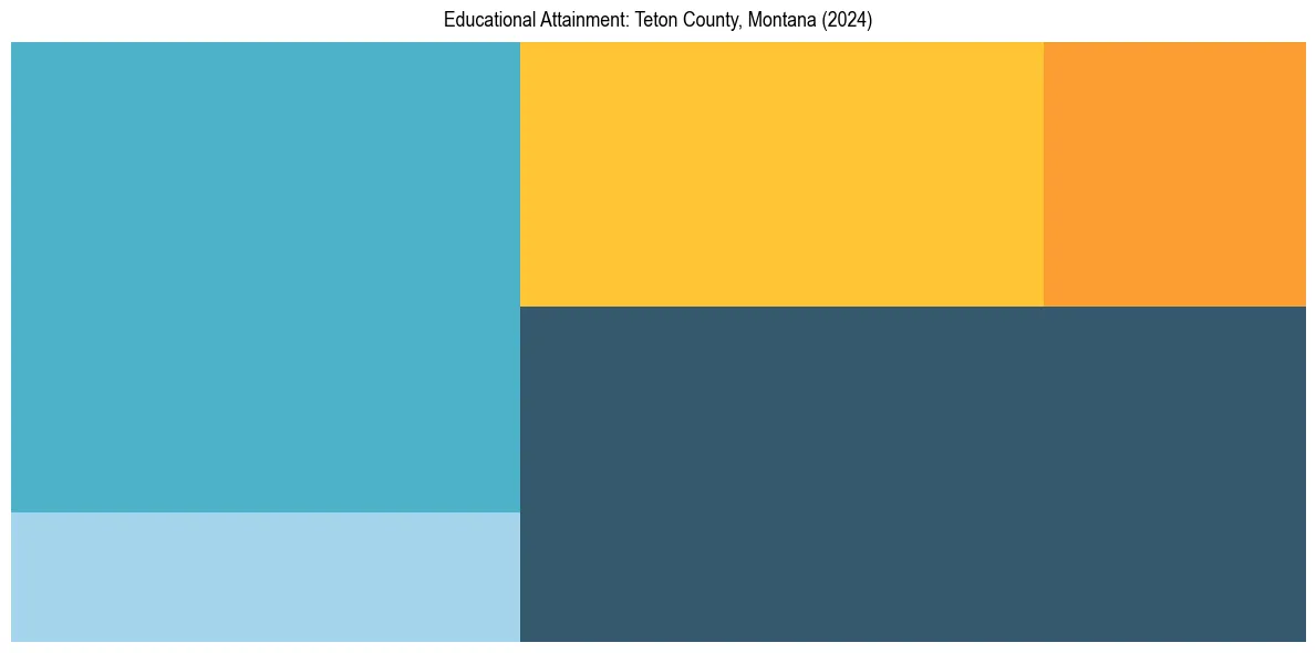 Education Treemap for  in 2024