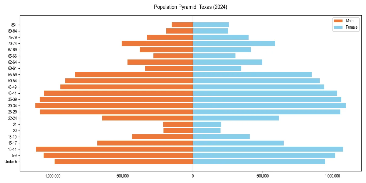 Population pyramid for 