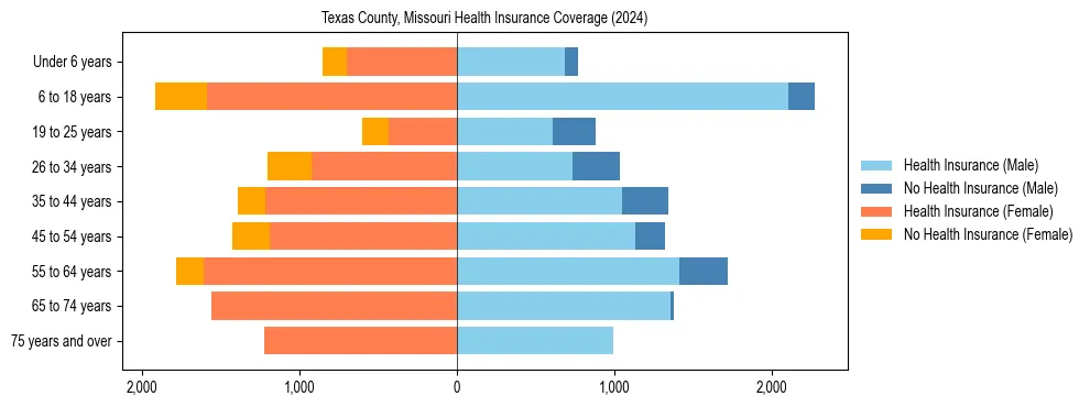 Health insurance pyramid for Texas County, Missouri