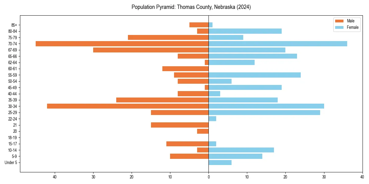 Population pyramid for 