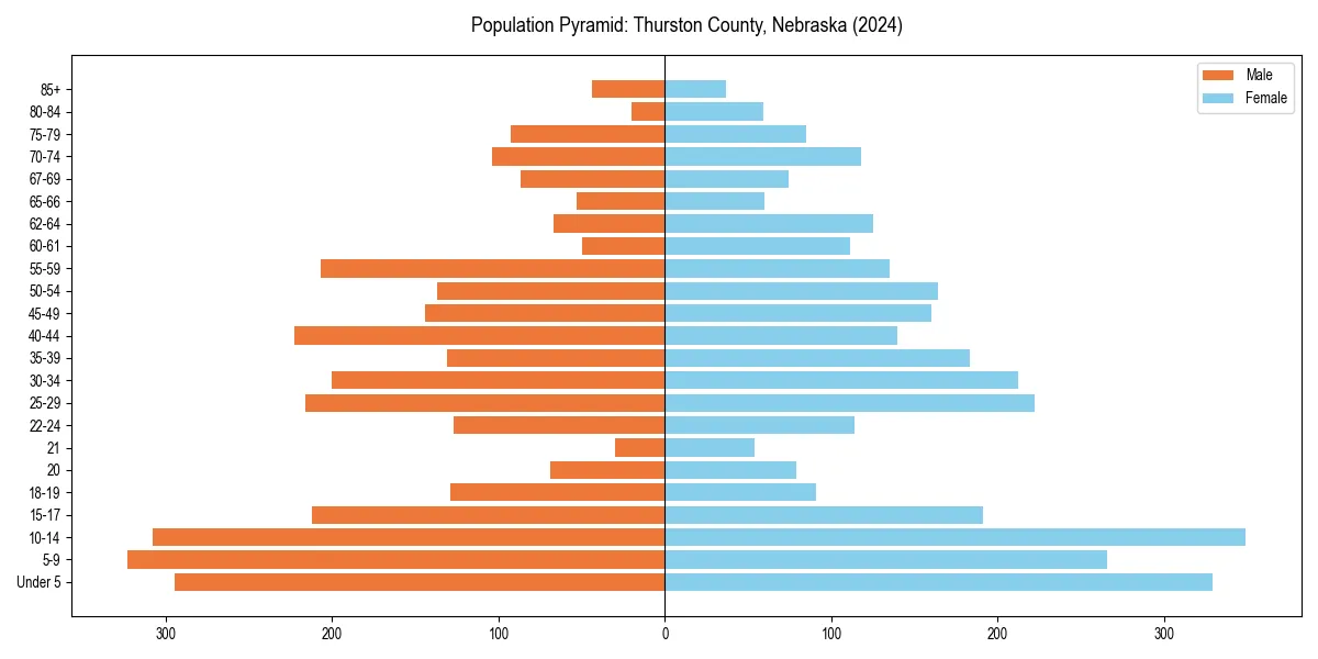 Population pyramid for 