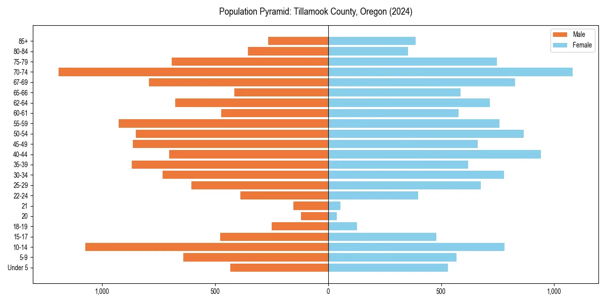 Population pyramid for 