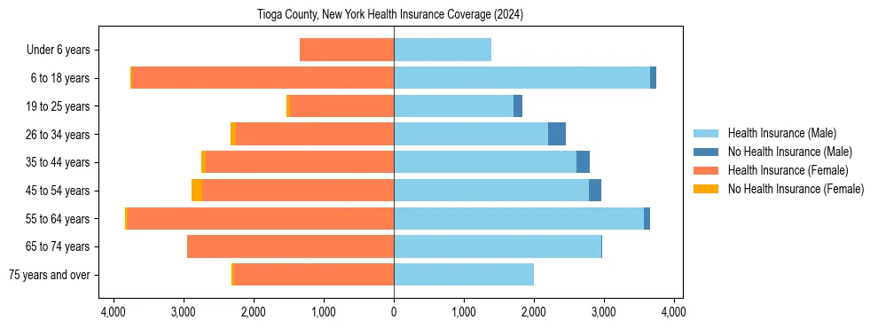 Health insurance pyramid for Tioga County, New York