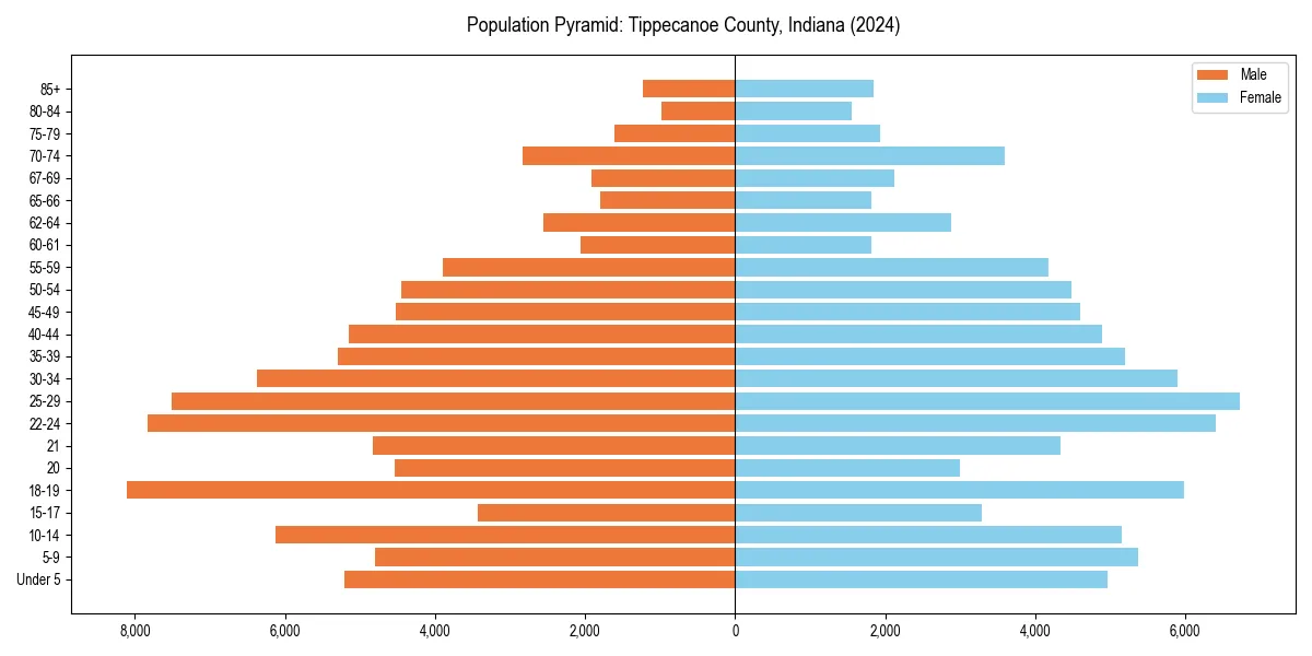 Population pyramid for 