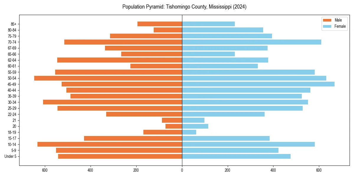 Population pyramid for 