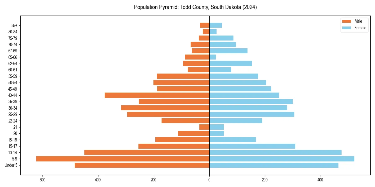 Population pyramid for 