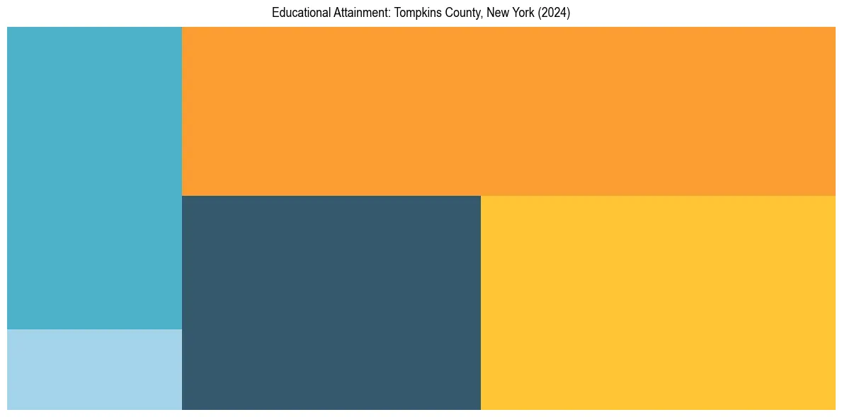 Education Treemap for  in 2024