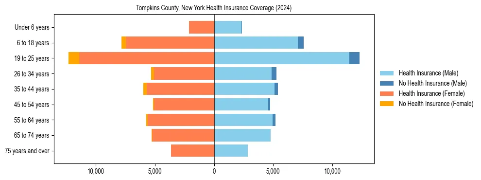 Health insurance pyramid for Tompkins County, New York