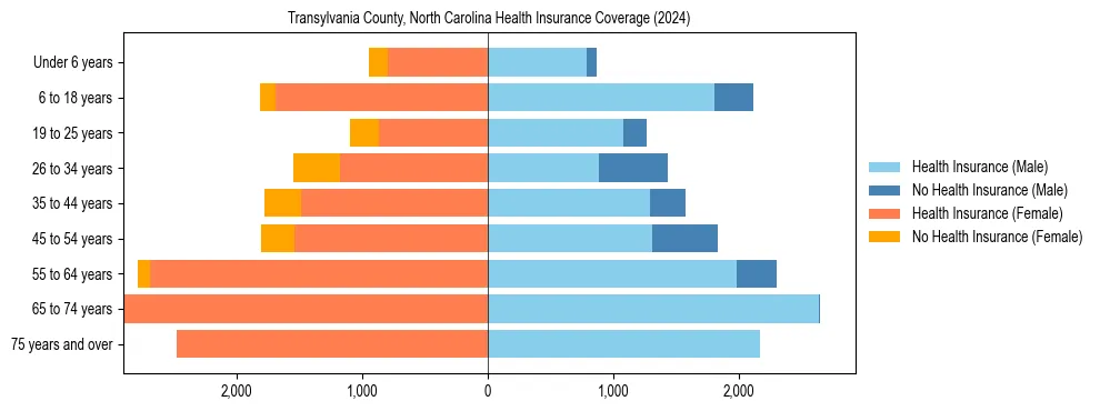 Health insurance pyramid for Transylvania County, North Carolina