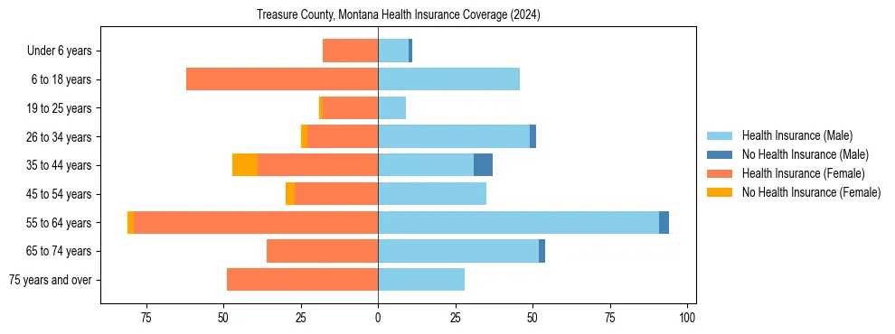 Health insurance pyramid for Treasure County, Montana