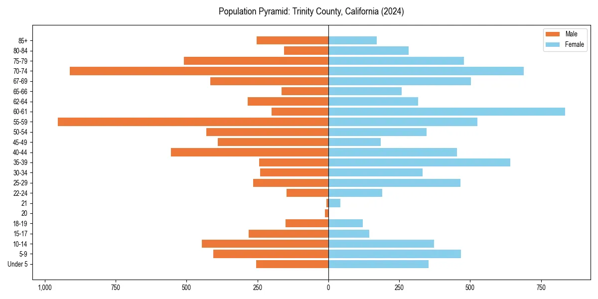 Population pyramid for 