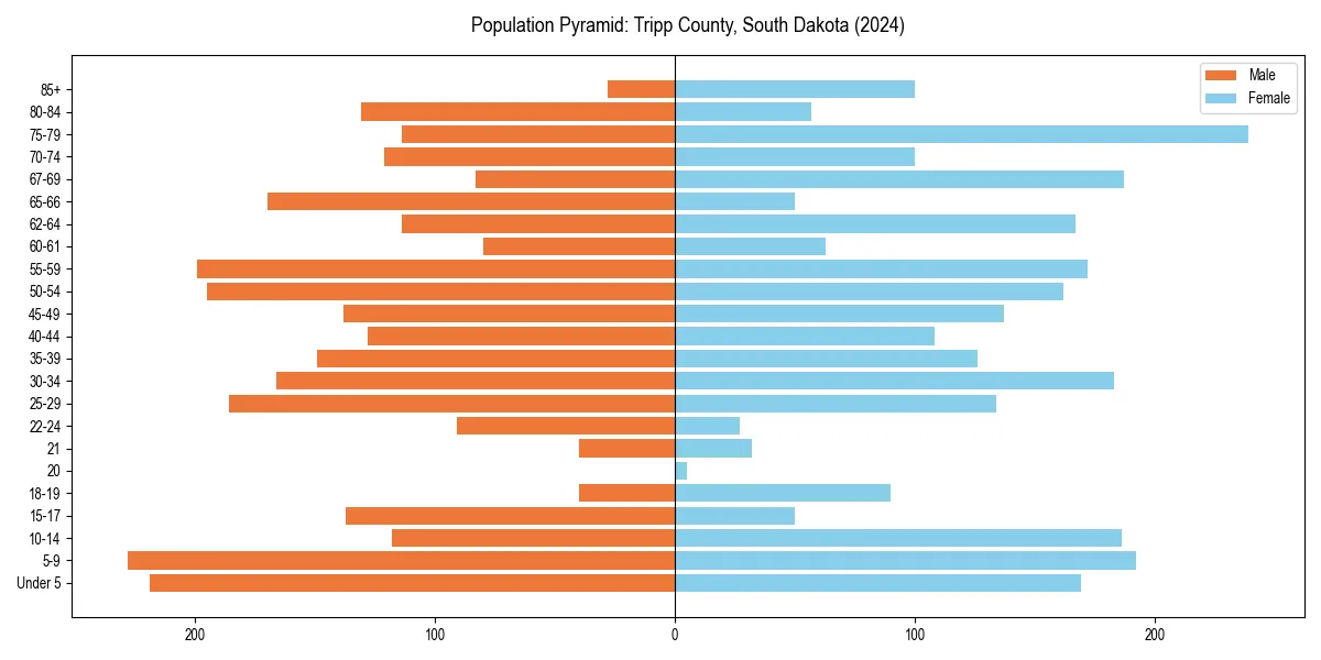 Population pyramid for 