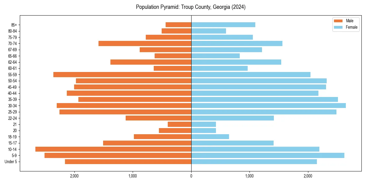 Population pyramid for 