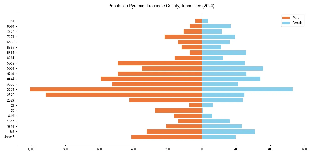 Population pyramid for 