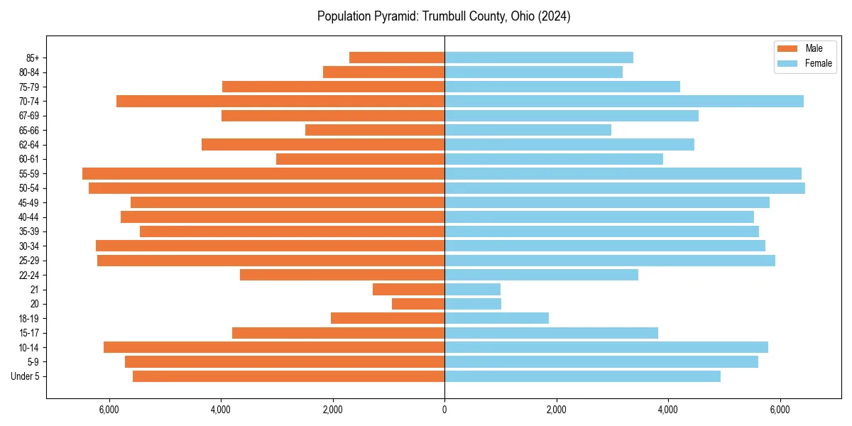 Population pyramid for 