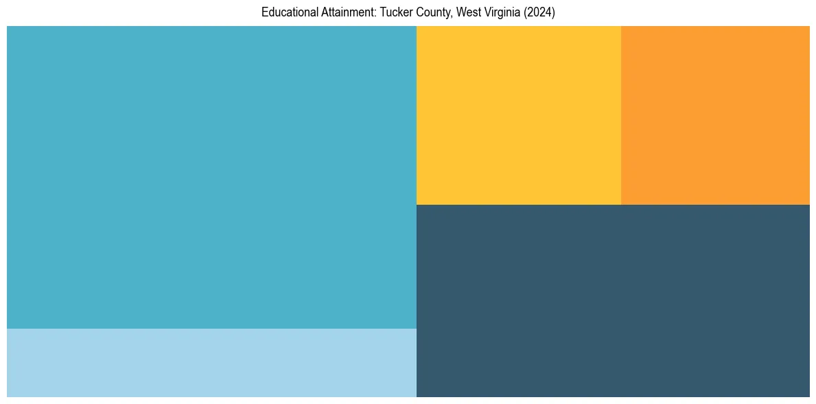 Education Treemap for  in 2024