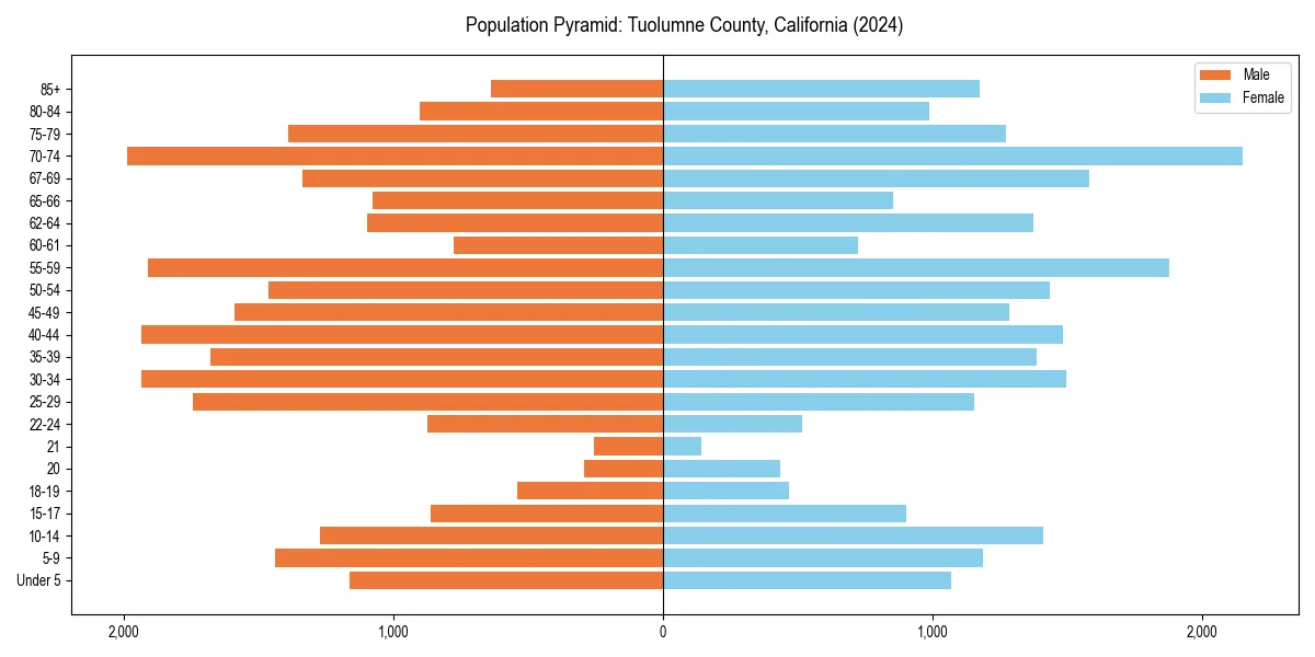 Population pyramid for 