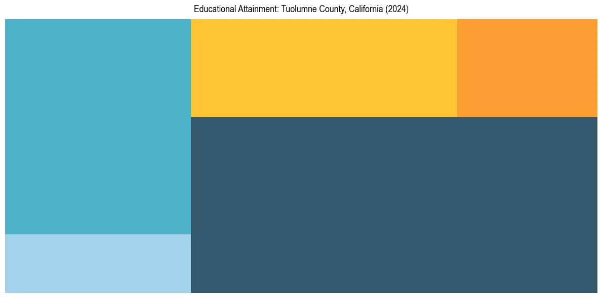 Education Treemap for  in 2024