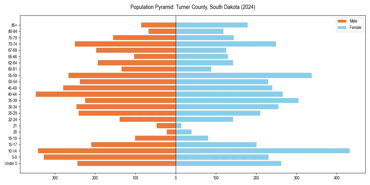 Population pyramid for 