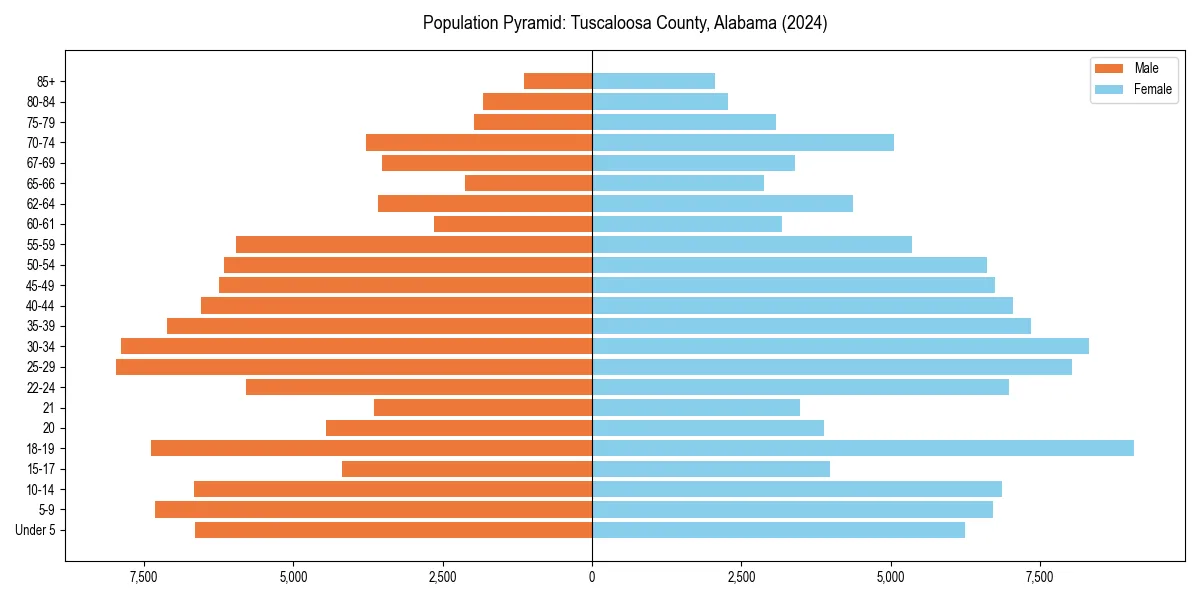 Population pyramid for 