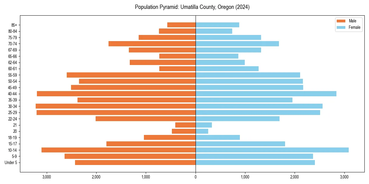 Population pyramid for 