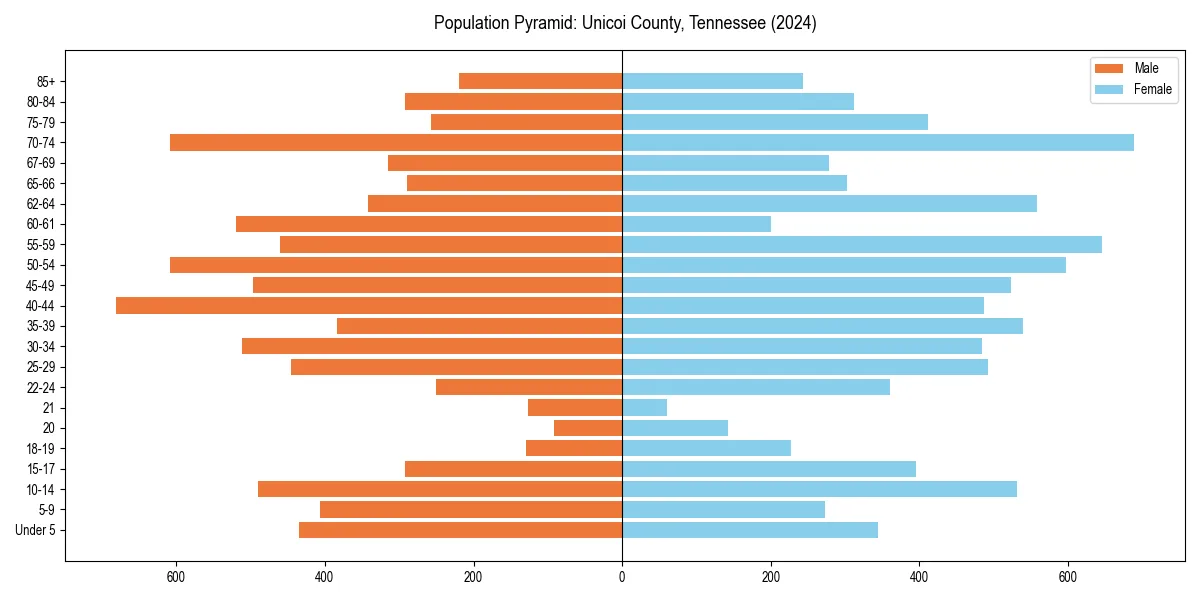 Population pyramid for 
