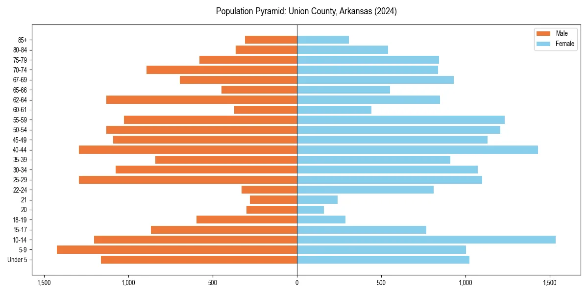 Population pyramid for 